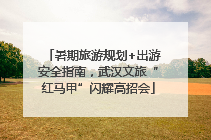 暑期旅游规划+出游安全指南，武汉文旅“红马甲”闪耀高招会