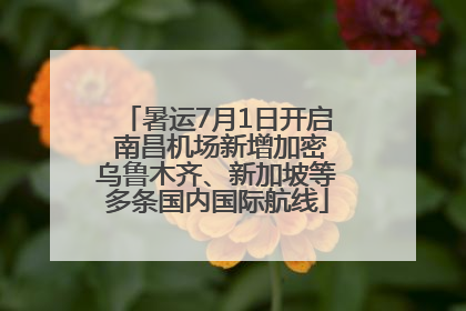 暑运7月1日开启 南昌机场新增加密乌鲁木齐、新加坡等多条国内国际航线