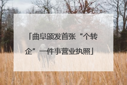 曲阜颁发首张“个转企”一件事营业执照