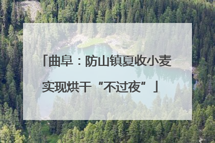曲阜：防山镇夏收小麦实现烘干“不过夜”