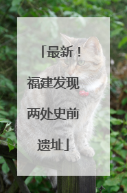 最新！福建发现两处史前遗址