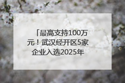 最高支持100万元！武汉经开区5家企业入选2025年度武汉市重点研发计划拟立项项目名单