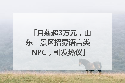 月薪超3万元，山东一景区招募语言类NPC，引发热议