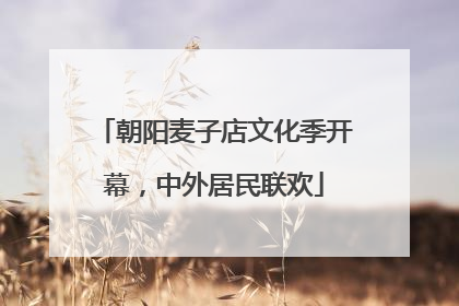 朝阳麦子店文化季开幕，中外居民联欢