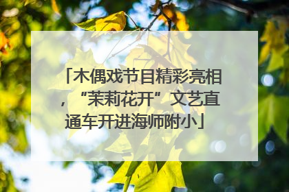 木偶戏节目精彩亮相，“茉莉花开”文艺直通车开进海师附小