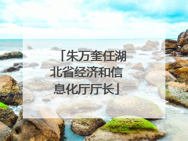 朱万奎任湖北省经济和信息化厅厅长