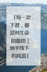 每一次下潜，都是对生命的敬畏｜地平线下的风景