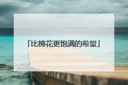 比棉花更饱满的希望