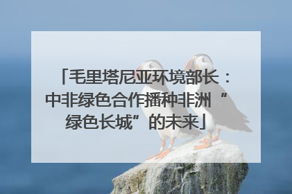 毛里塔尼亚环境部长：中非绿色合作播种非洲“绿色长城”的未来
