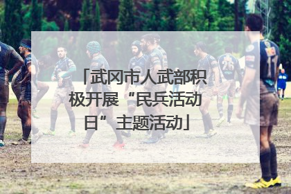 武冈市人武部积极开展“民兵活动日”主题活动
