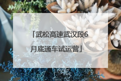 武松高速武汉段6月底通车试运营