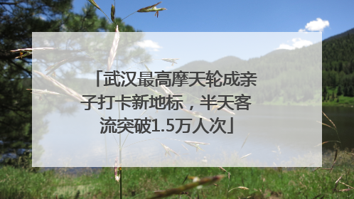 武汉最高摩天轮成亲子打卡新地标，半天客流突破1.5万人次