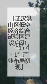 武汉洪山区低空经济综合试验区建设启动，“1+4+1”产业布局初现