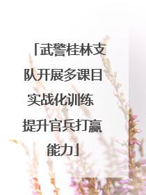 武警桂林支队开展多课目实战化训练 提升官兵打赢能力