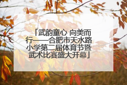 武韵童心 向美而行——合肥市天水路小学第二届体育节暨武术比赛盛大开幕