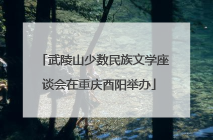武陵山少数民族文学座谈会在重庆酉阳举办