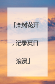 栾树花开，记录夏日浪漫