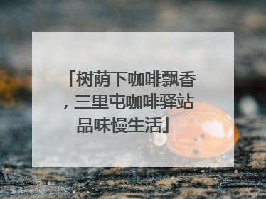 树荫下咖啡飘香，三里屯咖啡驿站品味慢生活