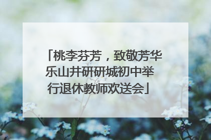 桃李芬芳，致敬芳华 乐山井研研城初中举行退休教师欢送会