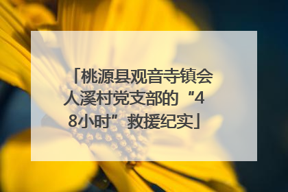 桃源县观音寺镇会人溪村党支部的“48小时”救援纪实