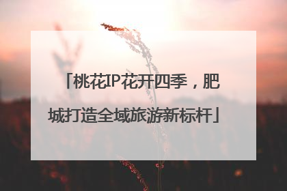 桃花IP花开四季，肥城打造全域旅游新标杆