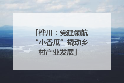 桦川：党建领航“小香瓜”撬动乡村产业发展