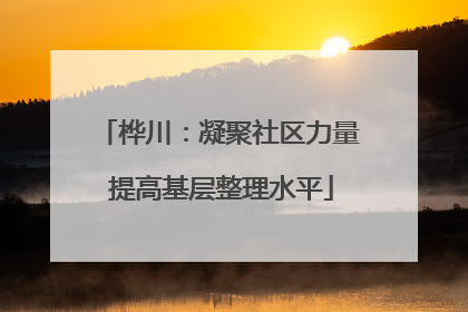 桦川：凝聚社区力量 提高基层整理水平