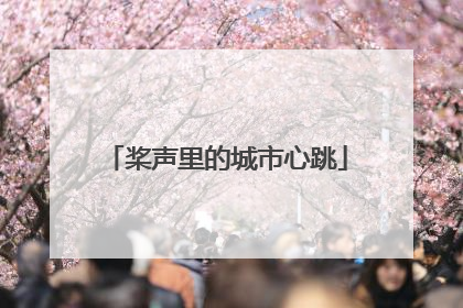 桨声里的城市心跳