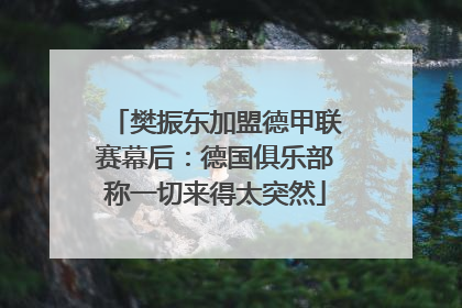 樊振东加盟德甲联赛幕后：德国俱乐部称一切来得太突然
