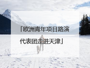 欧洲青年项目路演代表团走进天津