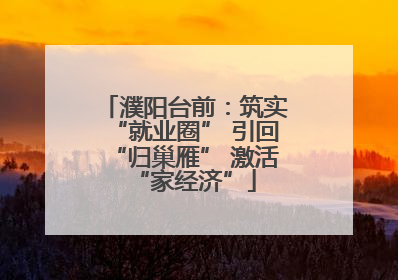 濮阳台前：筑实“就业圈” 引回“归巢雁” 激活“家经济”