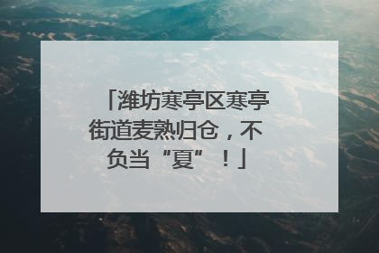潍坊寒亭区寒亭街道麦熟归仓，不负当“夏”！