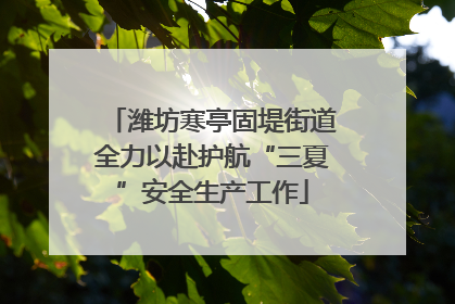潍坊寒亭固堤街道全力以赴护航“三夏”安全生产工作