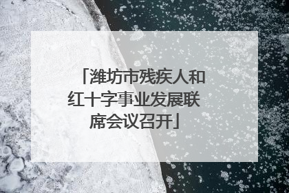 潍坊市残疾人和红十字事业发展联席会议召开