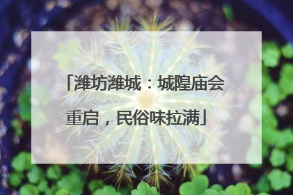 潍坊潍城：城隍庙会重启，民俗味拉满