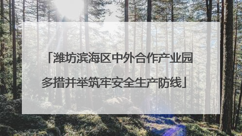 潍坊滨海区中外合作产业园多措并举筑牢安全生产防线