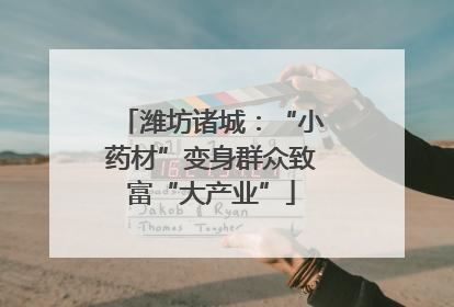 潍坊诸城：“小药材”变身群众致富“大产业”