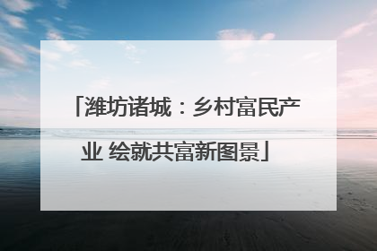 潍坊诸城：乡村富民产业 绘就共富新图景