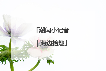 潮闻小记者｜海边拾趣
