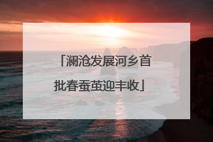 澜沧发展河乡首批春蚕茧迎丰收