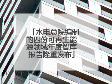 水电总院编制的四份可再生能源领域年度智库报告隆重发布