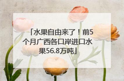 水果自由来了！前5个月广西各口岸进口水果56.8万吨