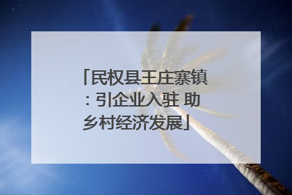 民权县王庄寨镇：引企业入驻 助乡村经济发展
