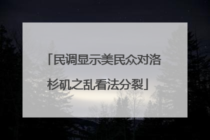 民调显示美民众对洛杉矶之乱看法分裂
