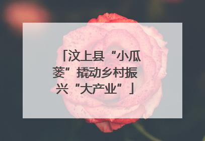 汶上县“小瓜蒌”撬动乡村振兴“大产业”