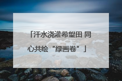 汗水浇灌希望田 同心共绘“绿画卷”