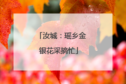 汝城：瑶乡金银花采摘忙