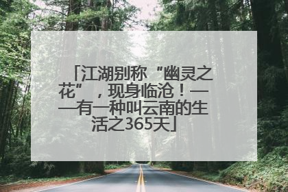 江湖别称“幽灵之花”，现身临沧！——有一种叫云南的生活之365天
