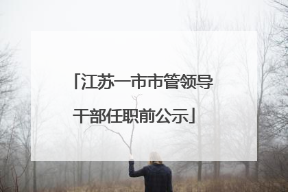 江苏一市市管领导干部任职前公示