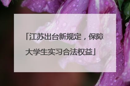 江苏出台新规定，保障大学生实习合法权益